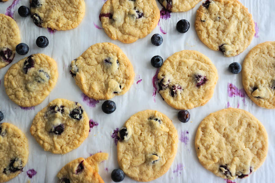 Blueberry Cookies Recipe Cuisine Fiend